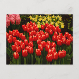 Carte Postale Romance russe