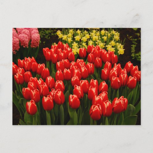 Carte Postale Romance russe (Devant)