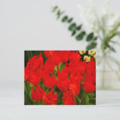 Carte Postale Romance russe (Debout devant)