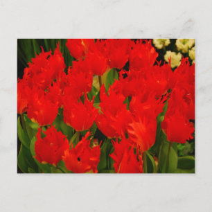Carte Postale Romance russe