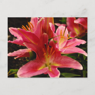 Carte Postale Romance russe