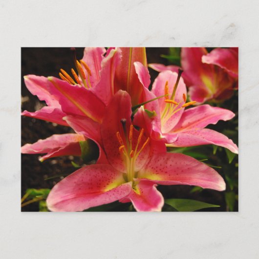 Carte Postale Romance russe (Devant)