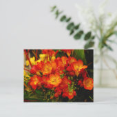 Carte Postale Romance russe (Debout devant)