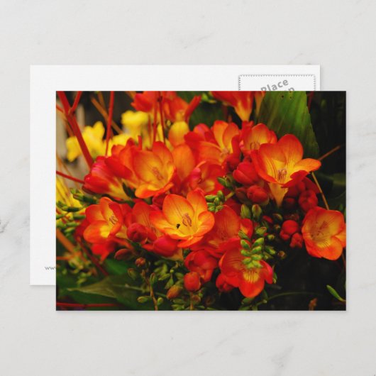 Carte Postale Romance russe (Devant / Derrière)