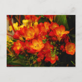 Carte Postale Romance russe (Devant)