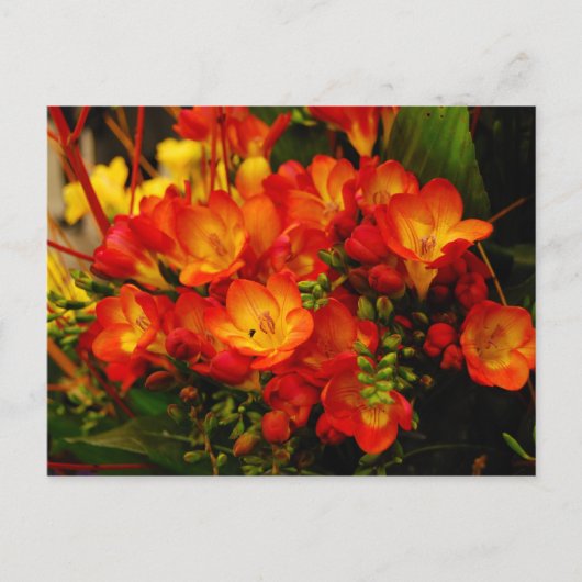 Carte Postale Romance russe (Devant)