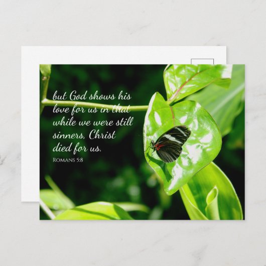 Carte postale Romans 5:8 Papillon Leaf (Devant / Derrière)