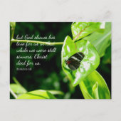 Carte postale Romans 5:8 Papillon Leaf (Devant)