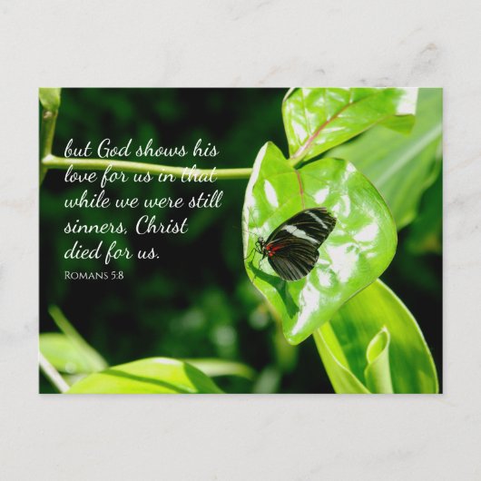 Carte postale Romans 5:8 Papillon Leaf (Devant)