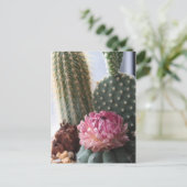Carte postale Romans 8:37 Cactus (Debout devant)