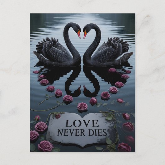 Carte Postale Romantic Black Swans Heart Reflection with Text (Devant)