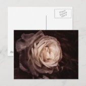 Carte Postale Romantica - ce rose dit amour (Devant / Derrière)