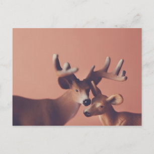 Carte postale Romantique aux Cerfs