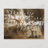 Carte Postale Romantique Pawesome Chat Valentines (Devant)