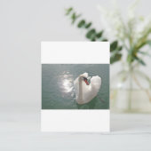 Carte Postale Romantischer weisser Schwan (Debout devant)