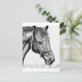 Carte Postale Roméo (Debout devant)