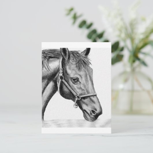 Carte Postale Roméo (Debout devant)