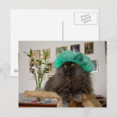 Carte Postale Roméo (Devant / Derrière)