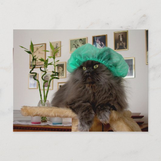 Carte Postale Roméo (Devant)