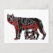 Carte Postale Romulus et Remus (Devant)
