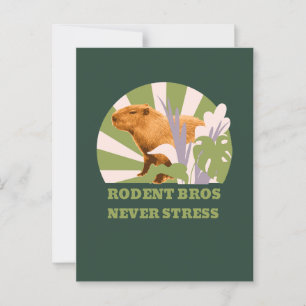 Carte Postale Rongeurs Frères Ne Stressez Jamais Capybara