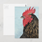 Carte Postale Rooster (Devant / Derrière)
