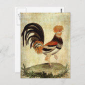 Carte Postale Rooster (Devant / Derrière)