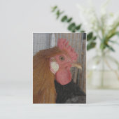 Carte Postale Rooster (Debout devant)