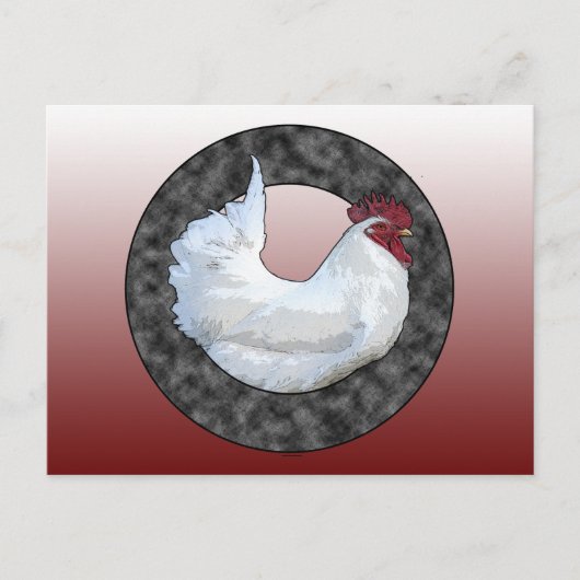 Carte Postale Rooster blanc (Devant)