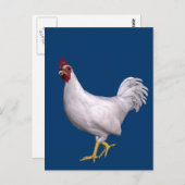 Carte Postale Rooster blanc (Devant / Derrière)