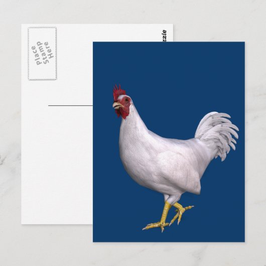 Carte Postale Rooster blanc (Devant / Derrière)