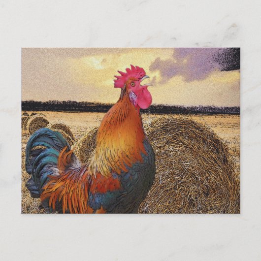 Carte Postale Rooster coloré et Hay Bale (Devant)