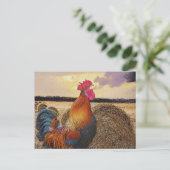 Carte Postale Rooster coloré et Hay Bale (Debout devant)