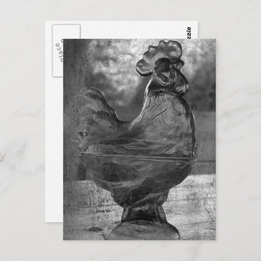Carte Postale Rooster en verre (Devant / Derrière)