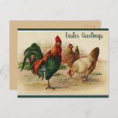 Carte Postale Rooster et poules de Pâques (Devant / Derrière)