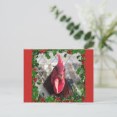 Carte postale Rooster Holly Christmas (Debout devant)