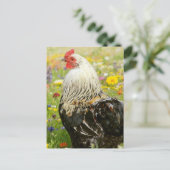 Carte Postale Rooster in a Flower Meadow (Debout devant)