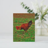 Carte Postale Rooster in the Grass (Debout devant)