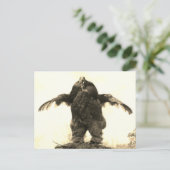 Carte Postale Rooster Man - (Debout devant)