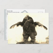 Carte Postale Rooster Man - (Devant / Derrière)