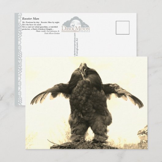 Carte Postale Rooster Man - (Devant / Derrière)