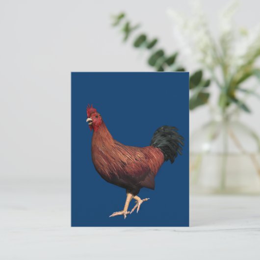 Carte Postale Rooster rouge (Debout devant)