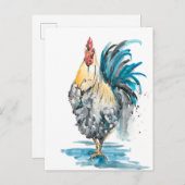 Carte Postale Rooster Splash - Aquarelle Portrait (Devant / Derrière)