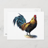 Carte Postale Rooster vintage (Devant / Derrière)