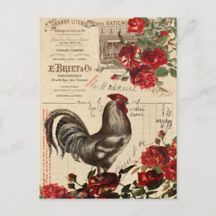 Carte Postale Rooster vintage