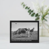 Carte Postale Roostercos Postcard (Debout devant)