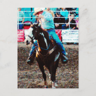 Carte Postale Roper sur un Pinto