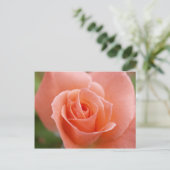 Carte Postale Rosa (Debout devant)