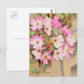 Carte Postale Rosa Ballerina [Postcard] (Devant / Derrière)