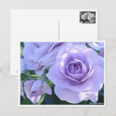Carte Postale Rosa Blue Bajou (Devant / Derrière)